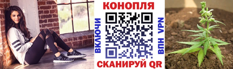 Марихуана план  Купить  Тверь 
